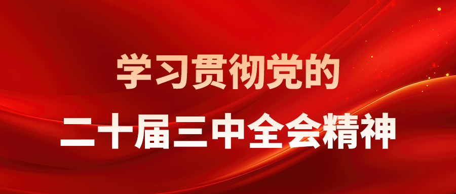 2025新澳门2025原料查询入口
