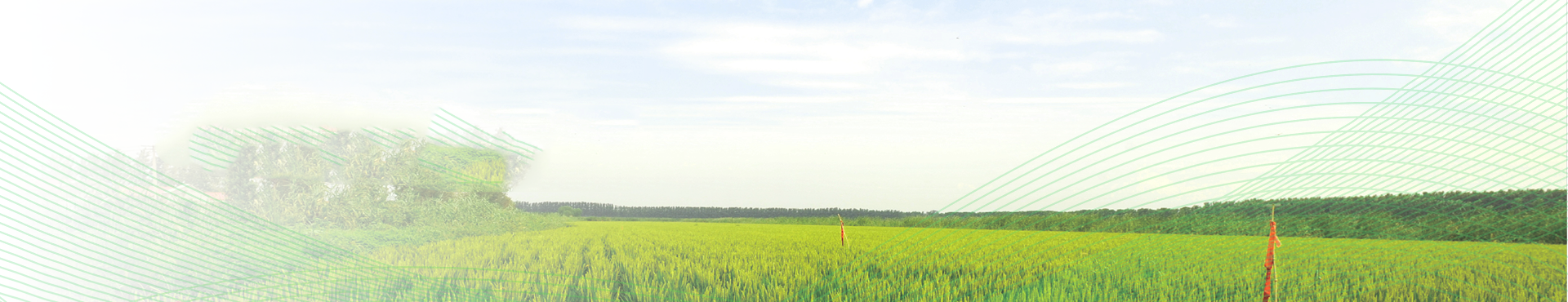 2025新澳门2025原料查询入口